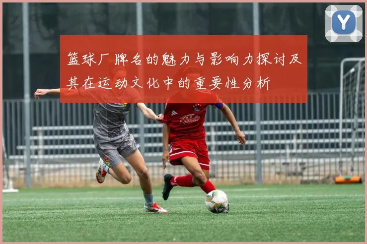 篮球厂牌名的魅力与影响力探讨及其在运动文化中的重要性分析
