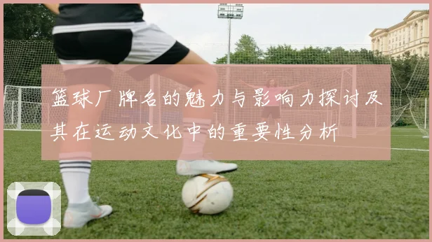 篮球厂牌名的魅力与影响力探讨及其在运动文化中的重要性分析