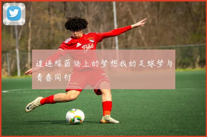 追逐绿茵场上的梦想我的足球梦与青春同行